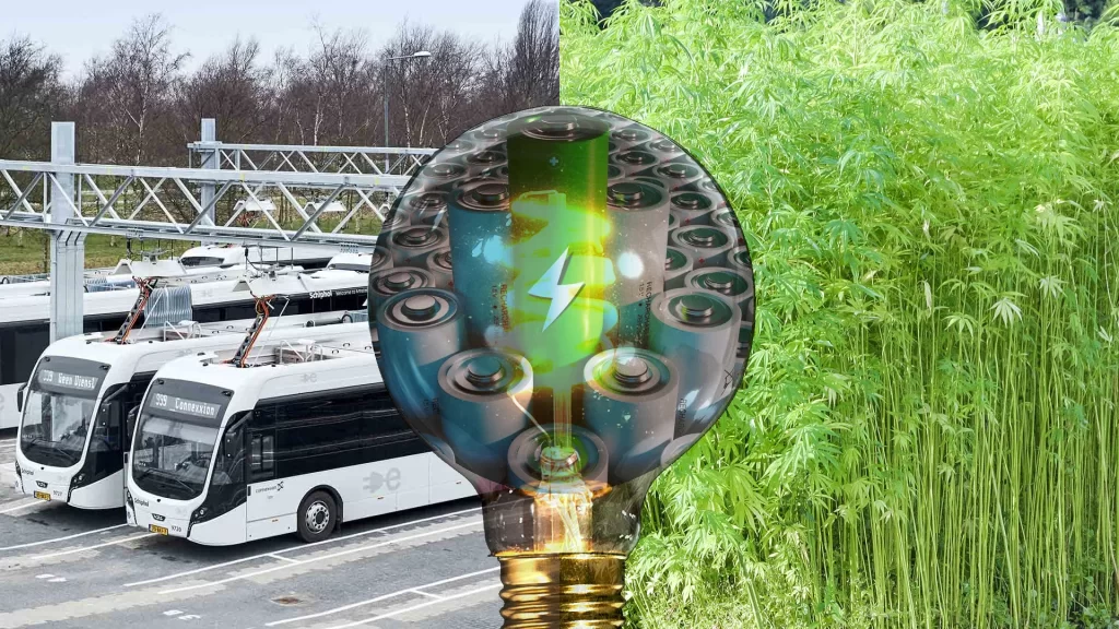 Kenevir bir enerji devrimi yaratacak nitelikte...